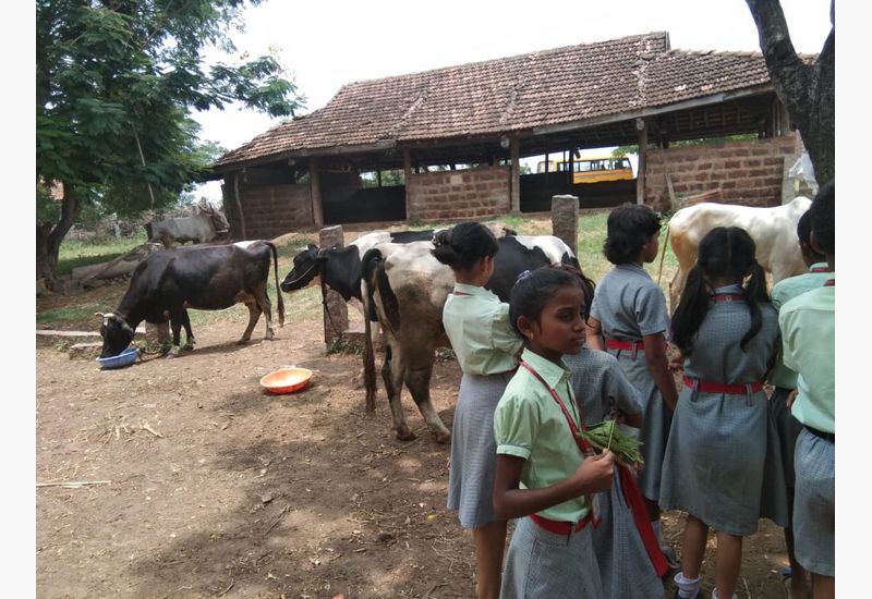 Grade V students to Arabhavi Horticulture College