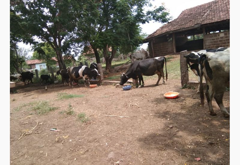 Grade V students to Arabhavi Horticulture College