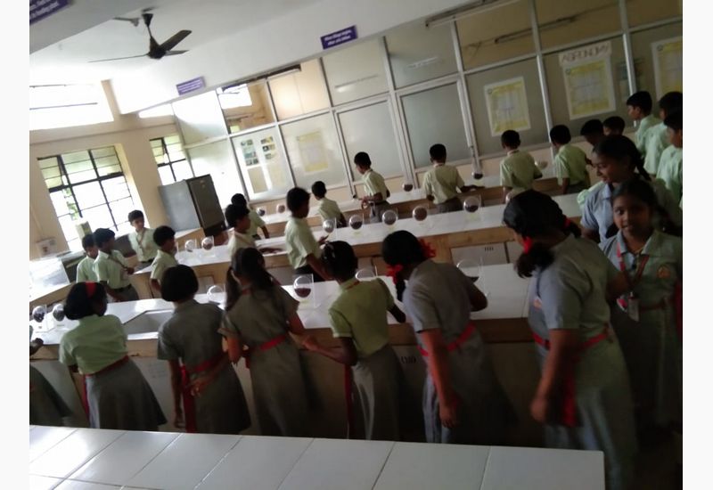 Grade V students to Arabhavi Horticulture College