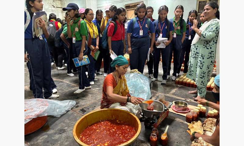  Field Trip Experience of Grade IX Students